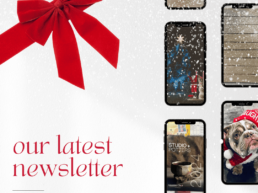 The roundup newsletter